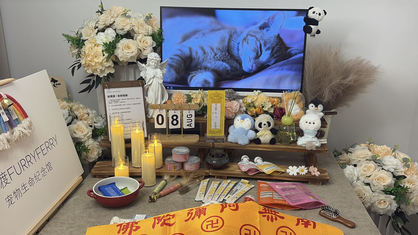 如何面对宠物离世的悲伤？写给济宁养宠人的心理支持