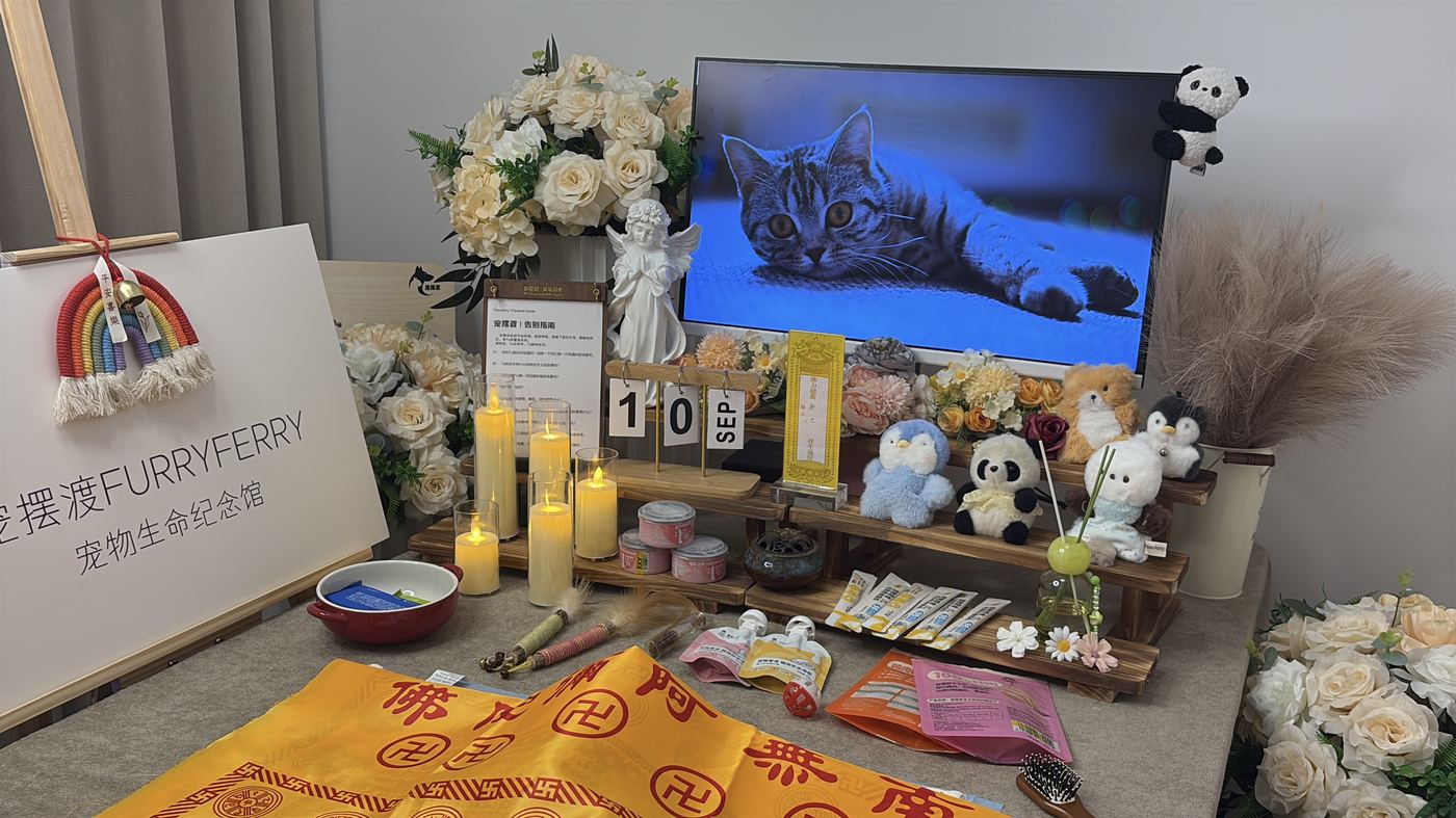 离开不是终点：济宁家庭的宠物生命教育