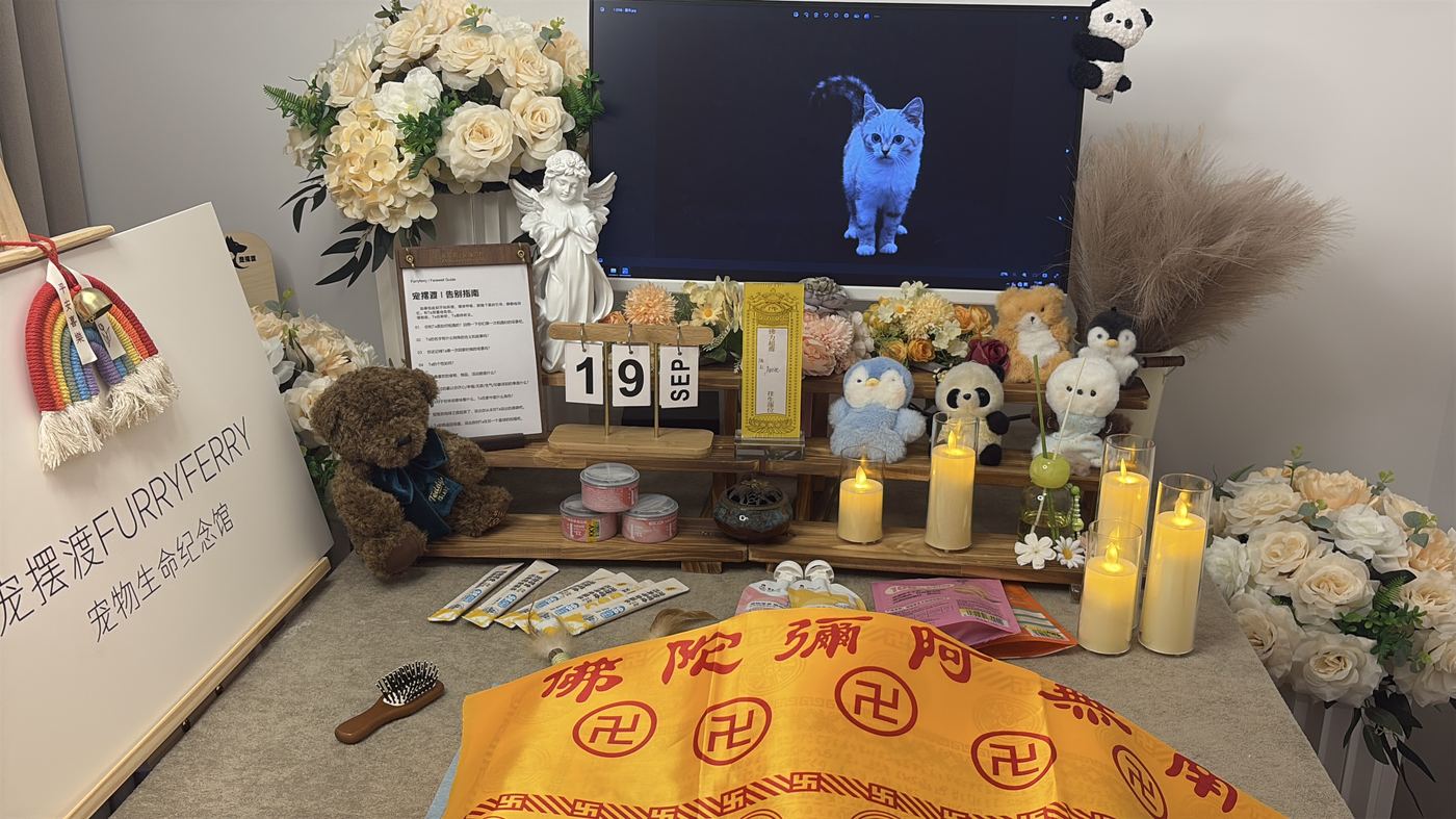 常见的安置途径