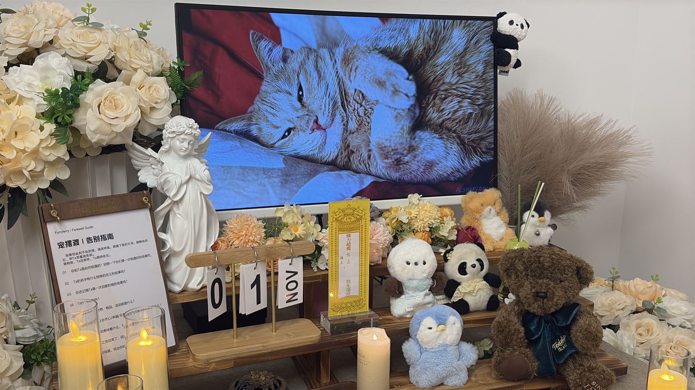 骨灰存放建议